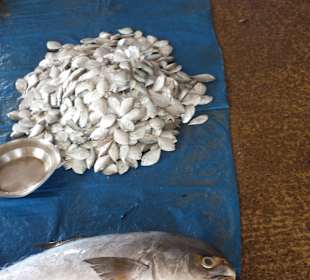Fischmarkt Trincomalee