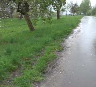 Kirschenheimat