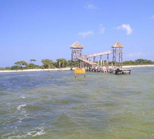 Vogelinsel Isla Morena