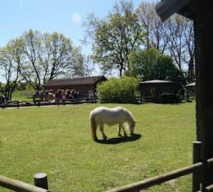 Zoo Arche Noah Grömitz