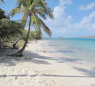 Ausflug zu den Tobago Cays