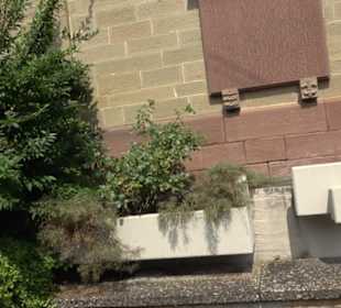 Evangelische Bricciuskirche Oberjesingen