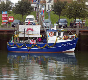 Regattatage 2009