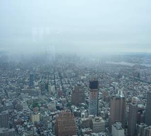 Ausblick One World Trade Center
