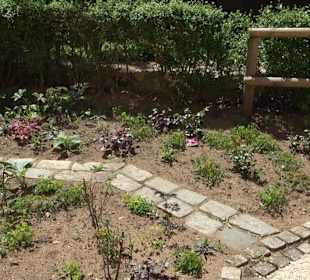 Rosengarten Nördlingen