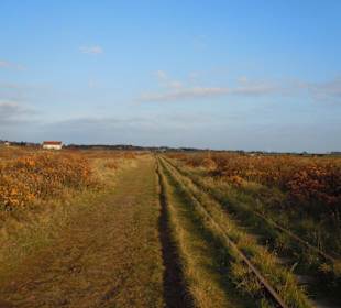 Schienen für die Museumspferdebahn
