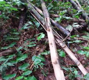 Cachoeira da Pedra Branca