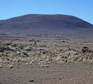 Impressionen aus der Plaine des Sables