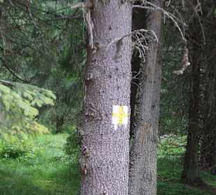 Parcul Natural Apuseni