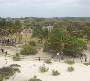 Blick auf die Parkanlage