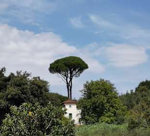 Wandern Serravalle Pistoiese