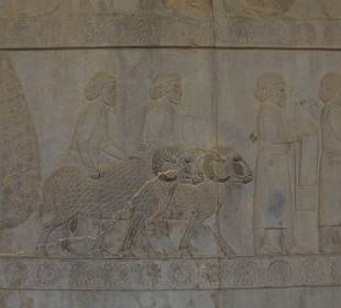 Płaskorzeźba w Persepolis