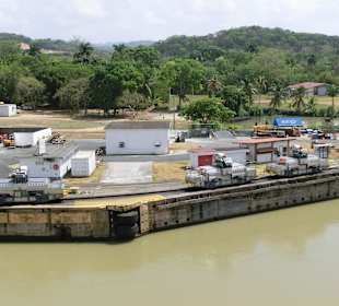 Mulis warten aufs Schiff