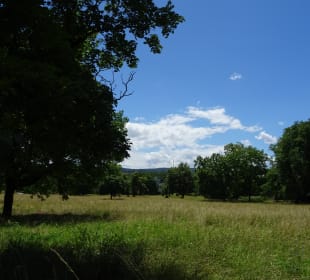 Rosensteinpark