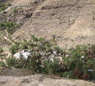 Palmitos Park - nach dem Feuer