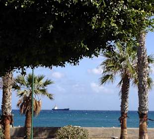 Promenade mit Palmen und Seeblick