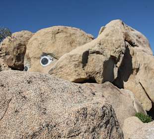 Desert View Tower