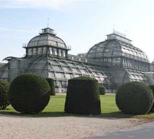Blick auf das Palmenhaus