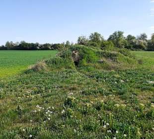 Römischer Vicus Eisenberg in Eisenberg (Pfalz)