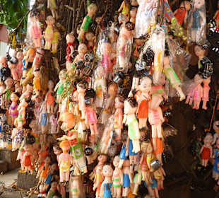 Der Baum hängt voll mit Puppen