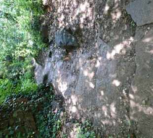 Wanderweg / Trampelpfad zum MMM