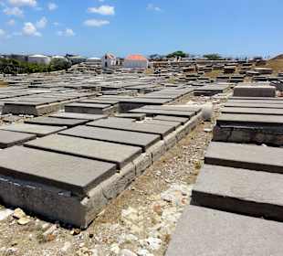 Rundgang über den Friedhof Beth Haim