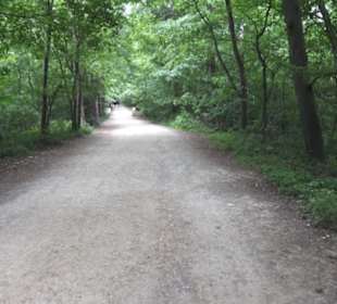 Burgruine Hohenneuffen