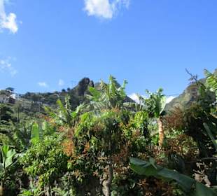  Molino de Gofio Los Telares