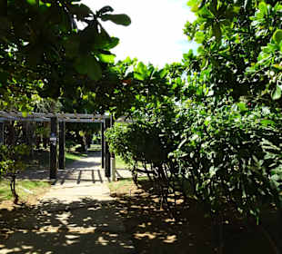 Der Park am Strand von Saint-Pierre