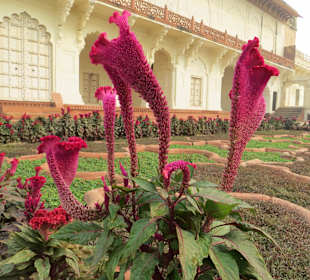 Garten Rotes Fort Agra