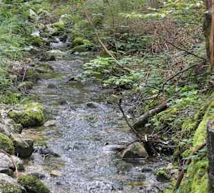 Rückweg von Frillensee zum Forsthaus Adlgaß