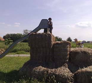 Die lebstgebaute Rutsche