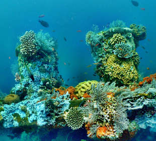 U.S.A.T. Liberty Wreck