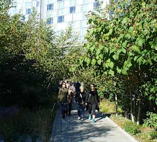 Auf dem High Line Park
