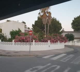 Stadtrundfahrt Alcudia