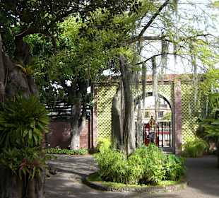 Jardín Botanico