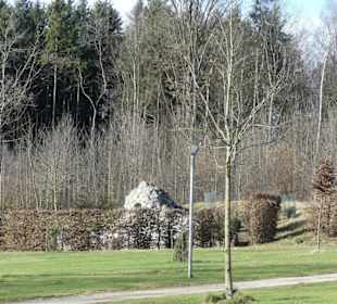 Von einer Hecke eingeschlossen