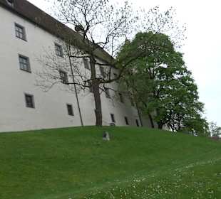 Schloss Höchstädt