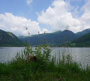 Wandern Kössen