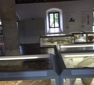 Archäologisches Museum