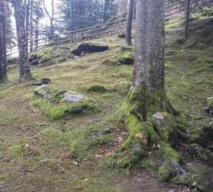 Park 