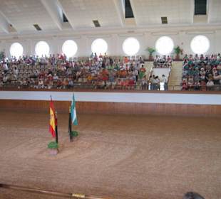 Spanische Hofreitschule von innen