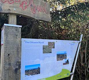 Wandern in Willingen am Ettelsberg