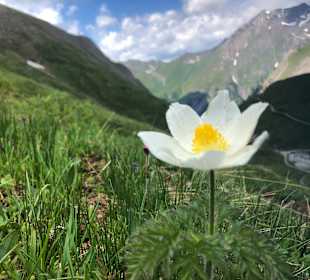 Wandern