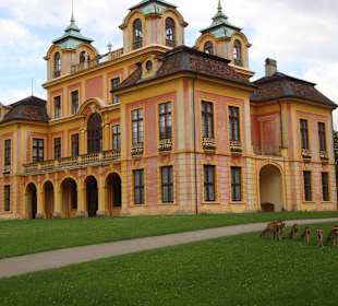 Favorite von Südost
