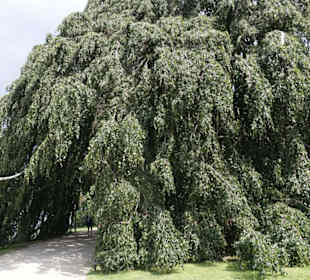 Am Eingang zum Schlosspark