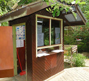 Poring Hot Springs - Schmetterlingsgarten