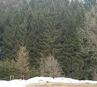 Wandern Rechenberg-Bienenmühle