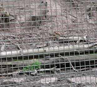 Walderlebnisweg Rottenburg