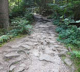 Wanderweg Triberger Wasserfälle